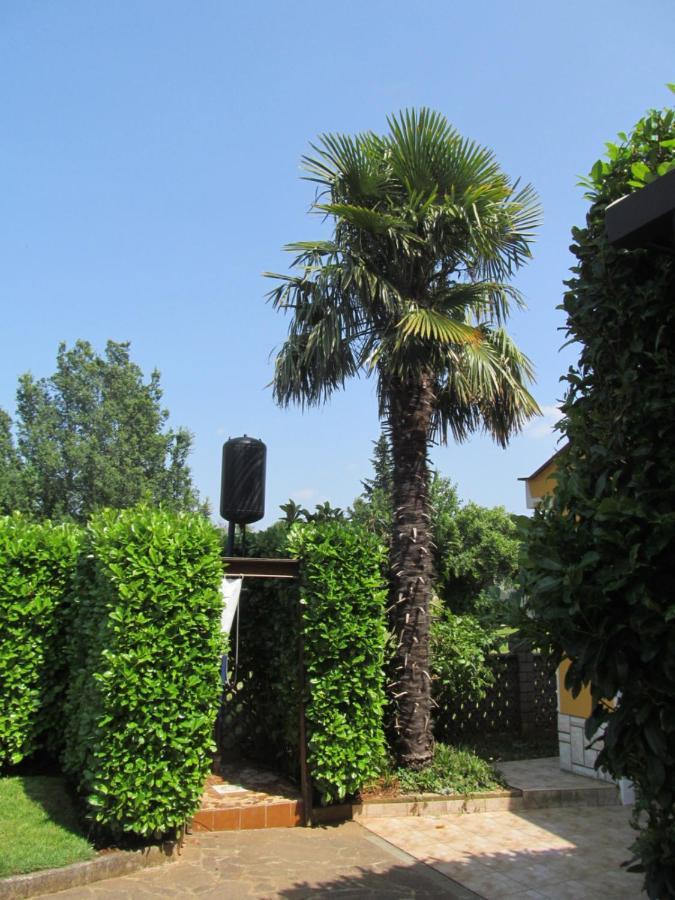 Apartments Zvezdica*** With Garden Zambratija  Eksteriør billede