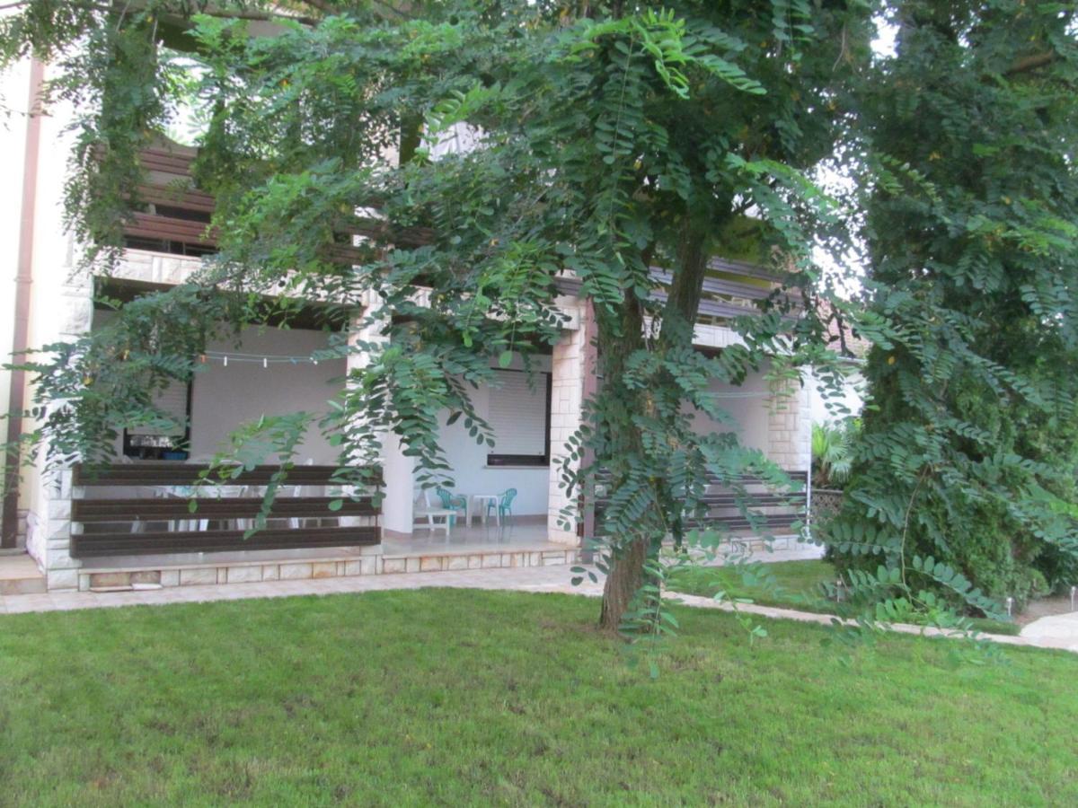 Apartments Zvezdica*** With Garden Zambratija  Eksteriør billede